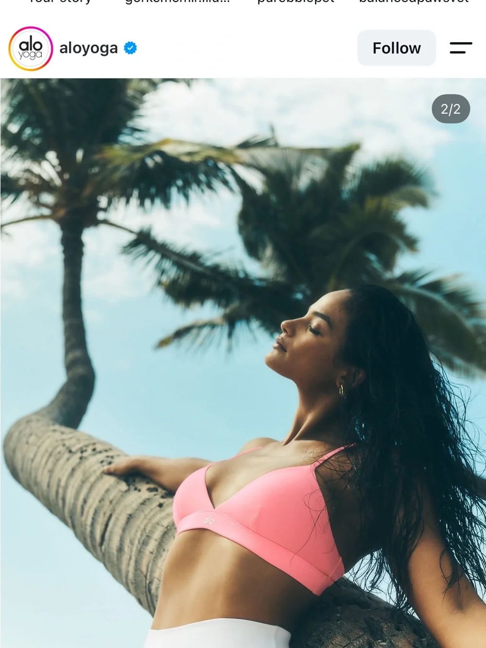 ALO Yoga neon bubblegum  Pink splendorBra Top